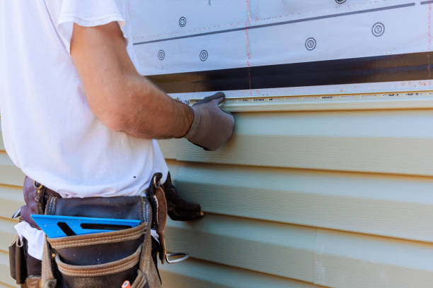 Affordable Siding Repair and Maintenance Services in Monette, AR